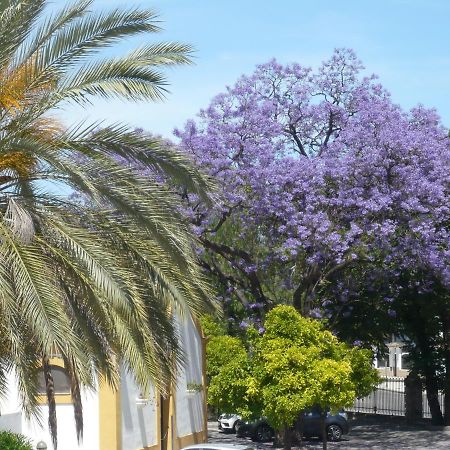 Real Escuela Home Jerez de la Frontera Dış mekan fotoğraf